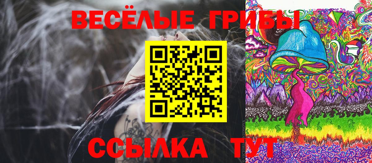 Галлюциногенные грибы Cubensis Красноармейск